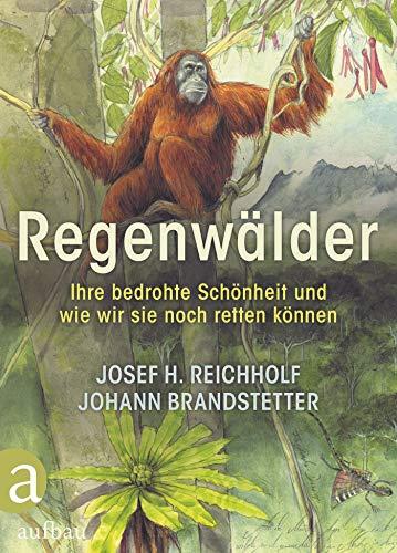 Regenwälder: Ihre bedrohte Schönheit und wie wir sie noch retten können