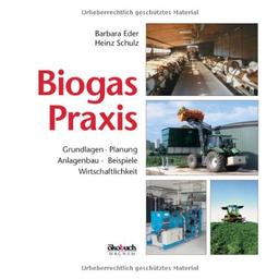 Biogas-Praxis: Grundlagen, Planung, Anlagenbau, Beispiele, Wirtschaftlichkeit