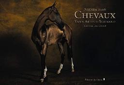 Chevaux : agenda 2006