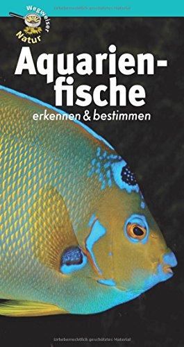 Aquarienfische erkennen & bestimmen: Wegweiser Natur