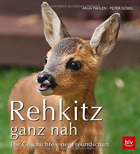 Rehkitz ganz nah: Die Geschichte einer Freundschaft