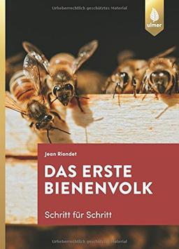 Das erste Bienenvolk – Schritt für Schritt