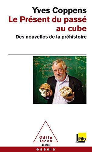 Le présent du passé au cube : des nouvelles de la préhistoire