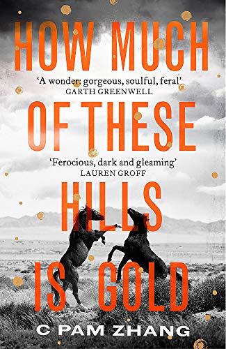 How Much of These Hills is Gold: the sensational literary debut of 2020