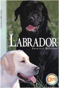 Il labrador (Cinofilia)