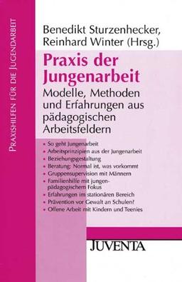 Praxis der Jungenarbeit: Modelle, Methoden und Erfahrungen aus pädagogischen Arbeitsfeldern: Modelle, Methoden und Erfahrungen aus pädaogoischen Arbeitsfeldern (Praxishilfen für die Jugendarbeit)