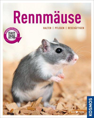 Rennmäuse: halten, pflegen, beschäftigen