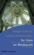 Der Islam am Wendepunkt. Liberale und konservative Reformer einer Weltreligion