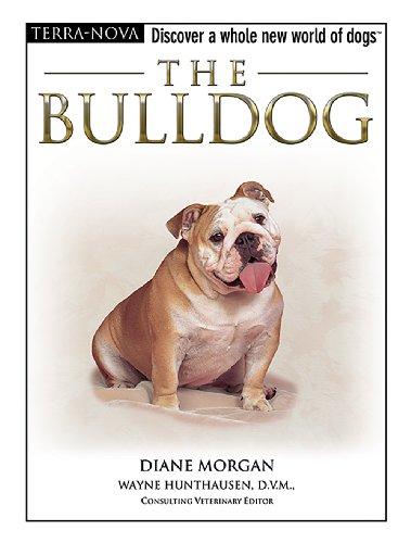 The Bulldog [With DVD] (Terra-Nova)