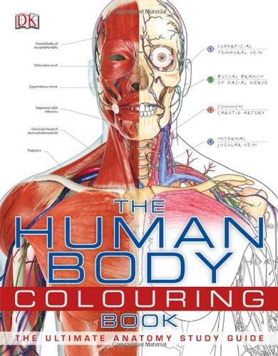 The Human Body Colouring Book (Dk)