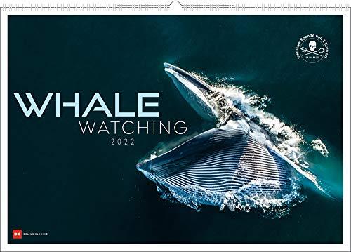 Whale Watching 2022