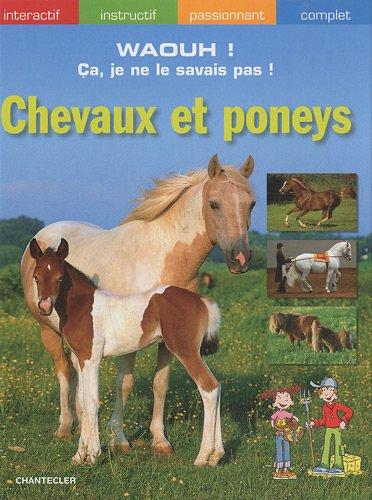 Chevaux et poneys