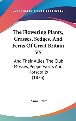 The Flowering Plants, Grasses, Sedges, And Ferns Of Great Britain V5: And Their Allies, The Club Mosses, Pepperworts And Horsetails (1873)