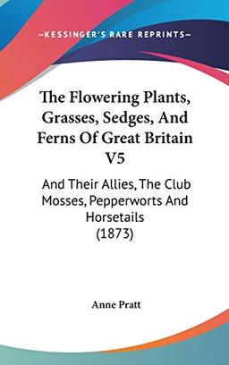 The Flowering Plants, Grasses, Sedges, And Ferns Of Great Britain V5: And Their Allies, The Club Mosses, Pepperworts And Horsetails (1873)