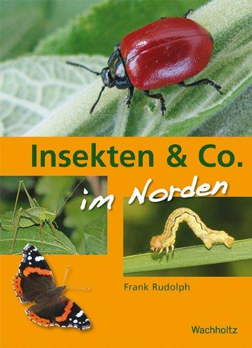 Insekten & Co. im Norden: Spinnen, Heuschrecken, Käfer, Schmetterlinge