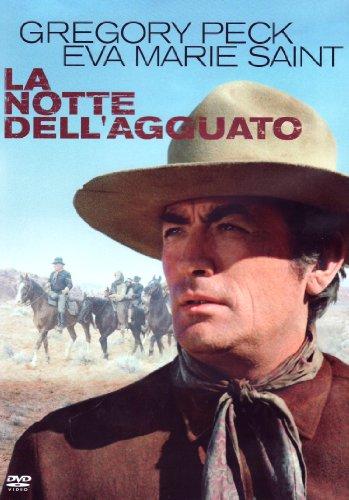 La notte dell'agguato [IT Import]