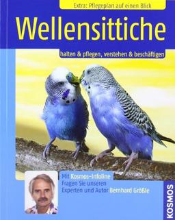 Wellensittiche: Halten & pflegen, verstehen & beschäftigen