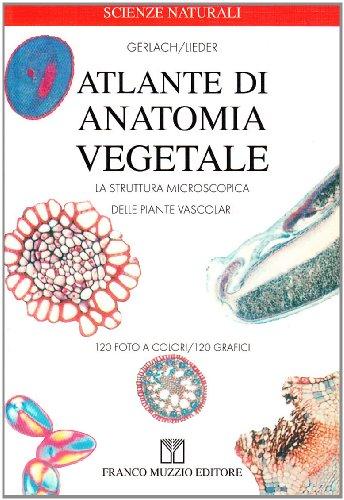 Atlante di anatomia vegetale. La struttura microscopica delle piante vascolari (Scienze naturali)