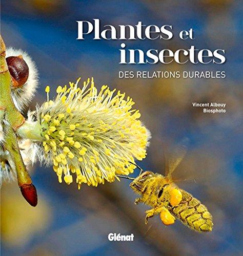 Plantes et insectes : des relations durables