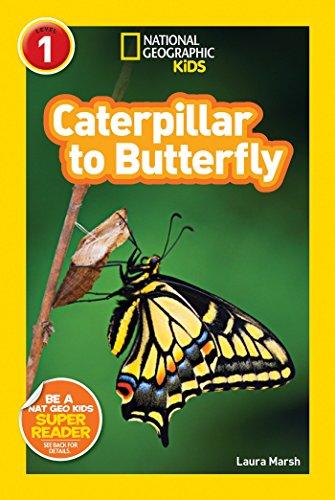 National Geographic Readers: Caterpillar to Butterfly