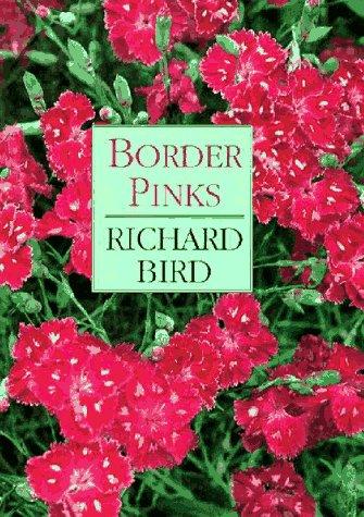 Border Pinks