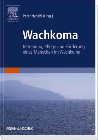 Wachkoma: Betreuung, Pflege und Förderung eines Menschen im Wachkoma