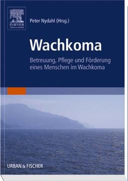 Wachkoma: Betreuung, Pflege und Förderung eines Menschen im Wachkoma