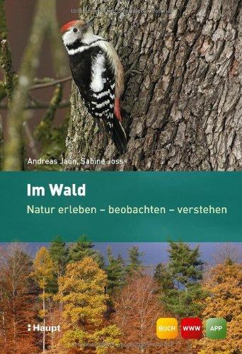 Im Wald: Natur erleben - beobachten - verstehen