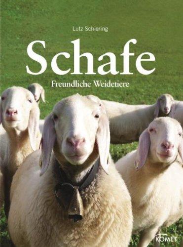 Schafe: Freundliche Weidetiere