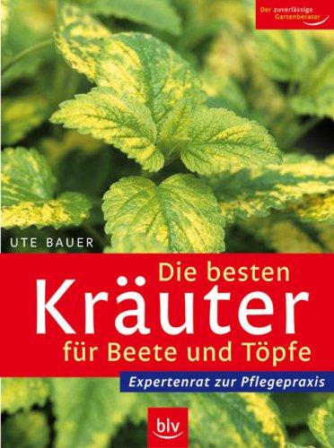 Die besten Kräuter für Beete und Töpfe: Expertenrat zur Pflegepraxis