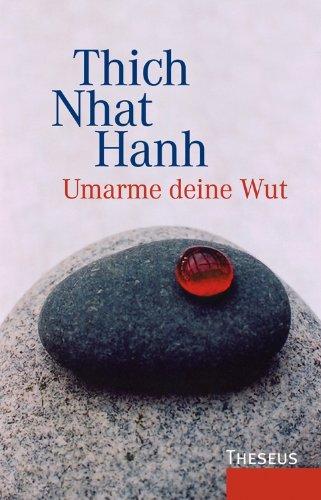 Umarme deine Wut: Sutra der Vier Verankerungen der Achtsamkeit