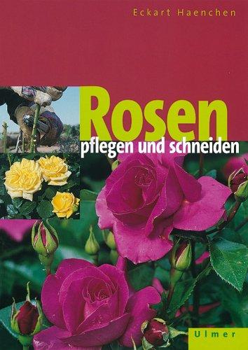 Rosen pflegen und schneiden