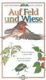 Auf Feld und Wiese: Naturführer für Kinder