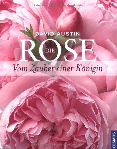 Die Rose: Vom Zauber einer Königin