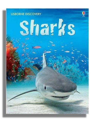 Sharks (Usborne Discovery)