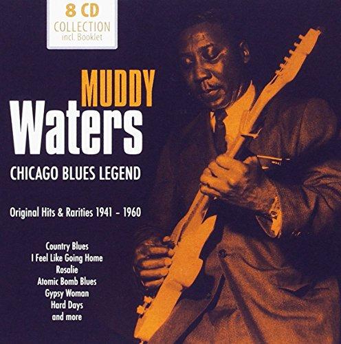 Muddy Waters: Chicago Blues Legend