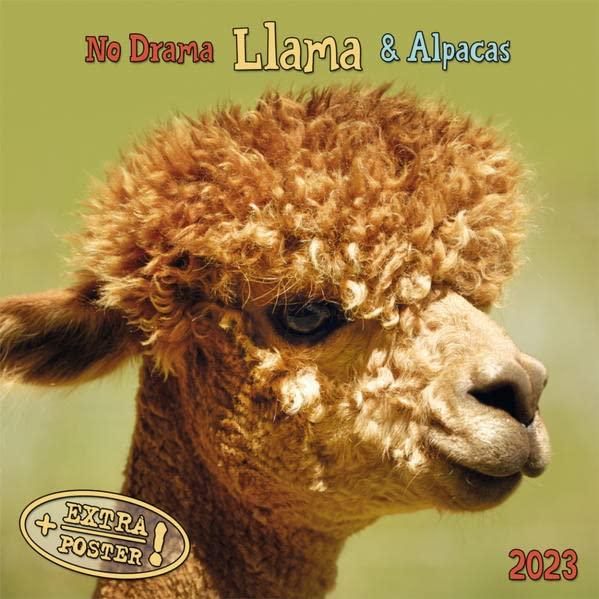 No Drama Llama 2023: Kalender 2023 (Artwork Edition)