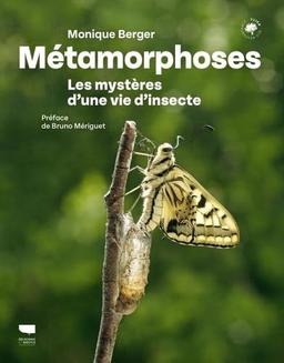 Métamorphoses : les mystères d'une vie d'insecte