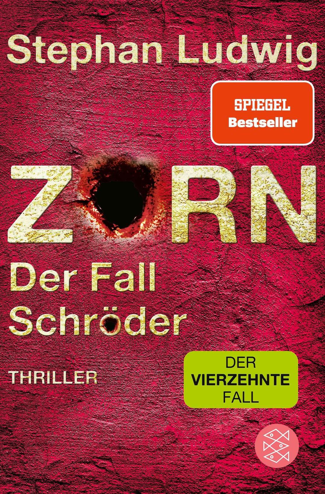 Zorn – Der Fall Schröder: Thriller