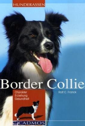 Border Collie: Charakter Erziehung Gesundheit