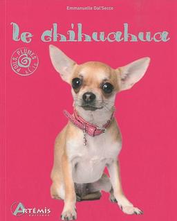 Le chihuahua