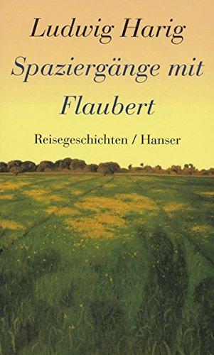 Spaziergänge mit Flaubert: Reisegeschichten