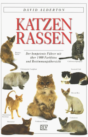 Katzenrassen