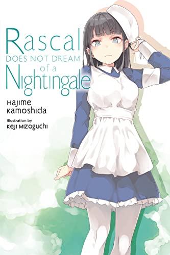 Rascal Does Not Dream, Vol. 11 (light novel) (Rascal Does Not Dream, 11, Band 11)