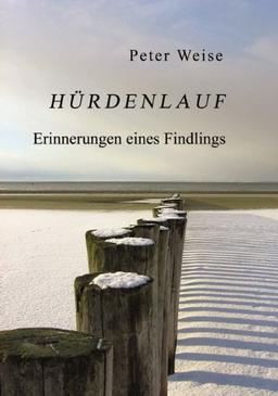 Hürdenlauf: Erinnerungen eines Findlings