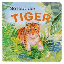 Tierkindergeschichten - So lebt der Tiger - Pappbilderbuch mit farbigen Illustrationen für Kinder ab 18 Monaten