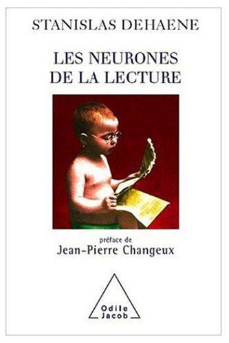 Les neurones de la lecture