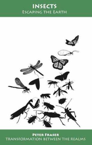 Insects: Escaping the Earth (Transformation Between the Realms)