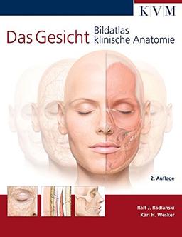 Das Gesicht | Bildatlas klinische Anatomie