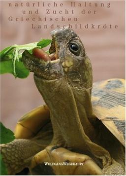 Natürliche Haltung und Zucht der Griechischen Landschildkröte